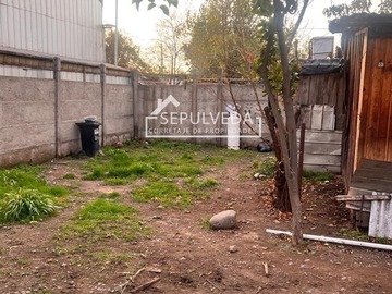 Imagen 5