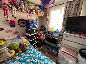 Imagen 23