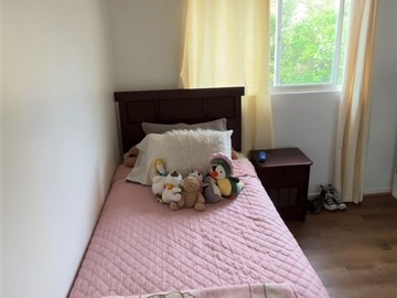 Imagen 20