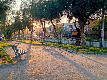 PLAZA LOS LOROS (1 MINUTO A PIE)