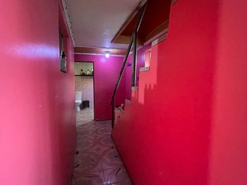 Imagen 5