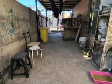 Imagen 3