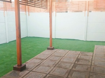 Imagen 13
