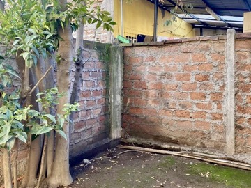 Imagen 20