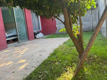 Imagen 11