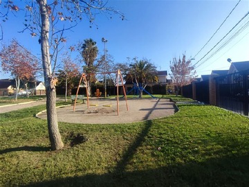 Imagen 20
