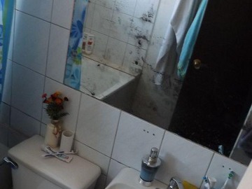 Imagen 12