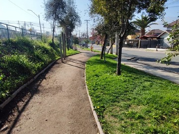 Imagen 20