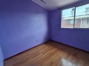 Imagen 5