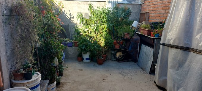 JADIN PATIO TRASERO