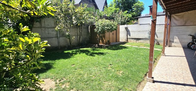 patio trasero