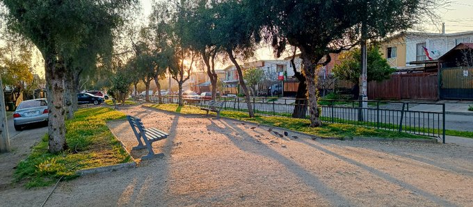 PLAZA LOS LOROS (1 MINUTO A PIE)