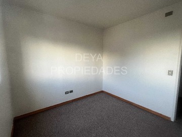 Imagen 19