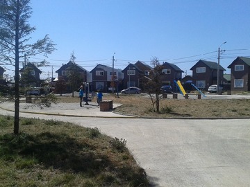 Imagen 7