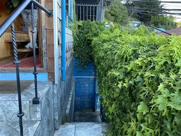 Imagen 5