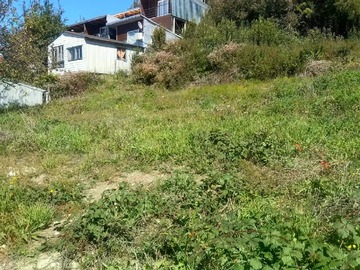 Imagen 13