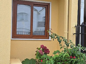 Imagen 5