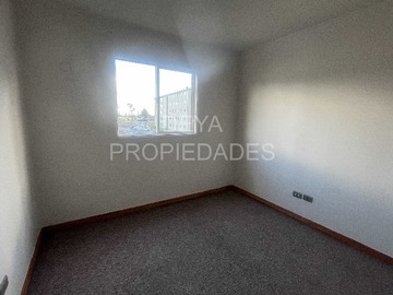 Imagen 17