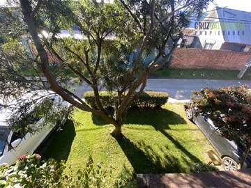 Imagen 19