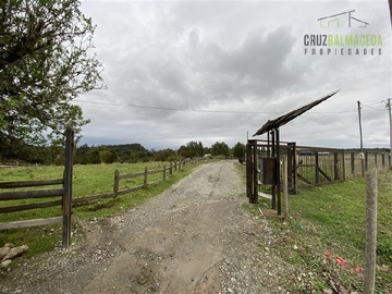 Imagen 11