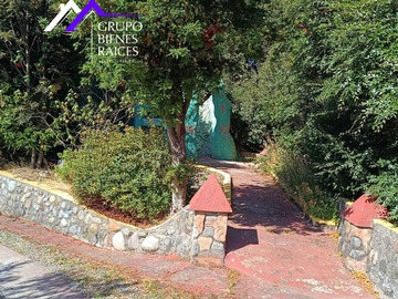 Imagen 5