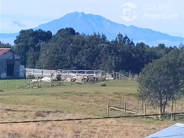 Imagen 8