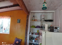 Imagen 7