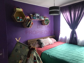 Imagen 12