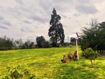 Imagen 6