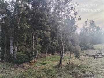 Imagen 37