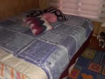 Imagen 6