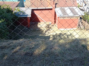 Imagen 11