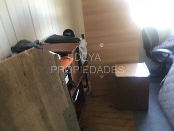 Imagen 13