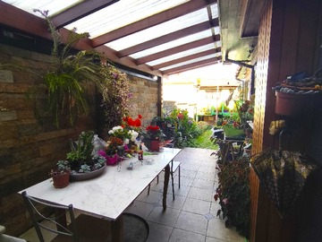 Imagen 19