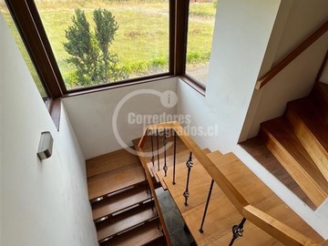 Imagen 8