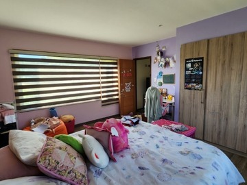 Imagen 15