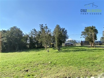 Imagen 15