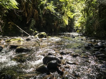 Imagen 20