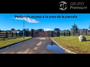 Imagen 11