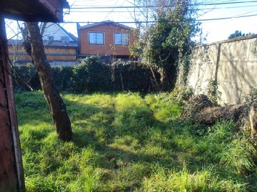Imagen 6
