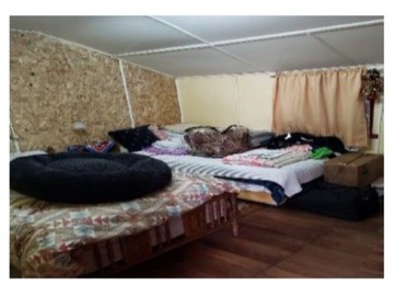 Imagen 4