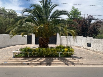 Imagen 6
