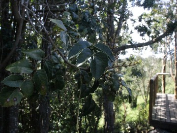Imagen 3