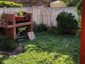 Imagen 19
