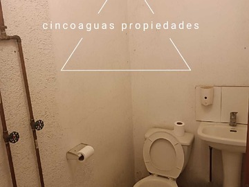 Imagen 20
