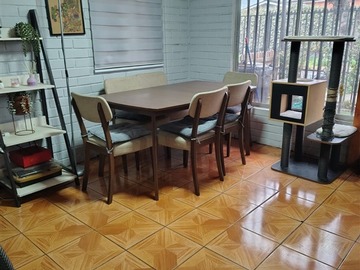 Imagen 5