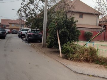 Imagen 19