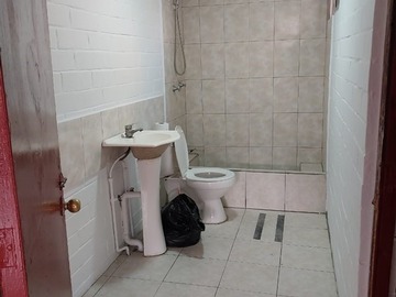 Imagen 5