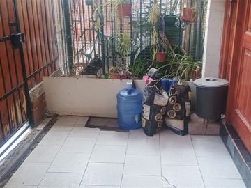 Imagen 6