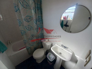 Imagen 12